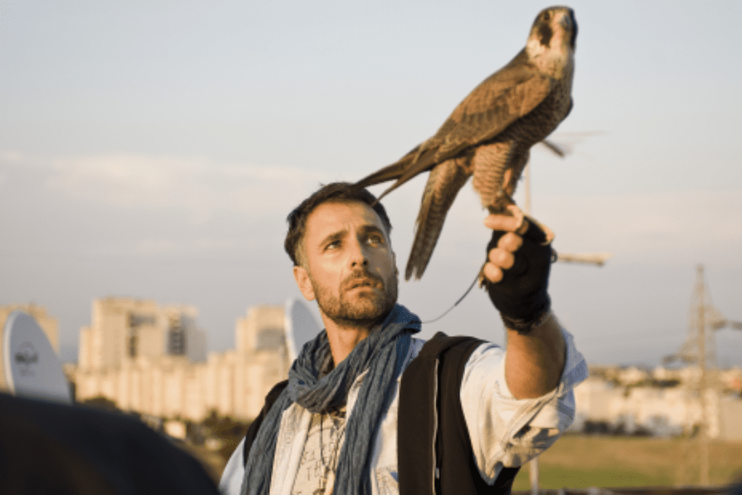 TuttalaTivu · GuidaTV 11 Maggio 2020: Montalbano, tra Il Signore degli Anelli: Il ritorno del Re, Emigratis, Schegge di paura e Ultimo: L'occhio del falco