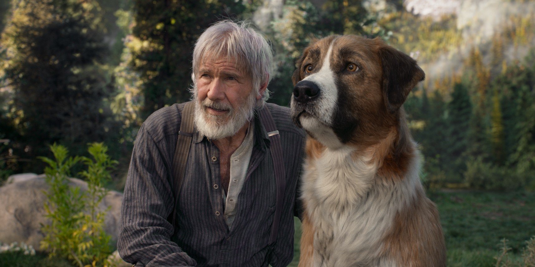 CinemaTivu · Il richiamo della foresta (Usa 2020), con protagonista Harrison Ford, diretto da Chris Sanders, in prima visione tv su Canale5