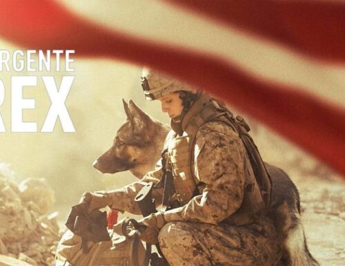 CinemaTivu · Sergente Rex (Usa 2017), titolo originale Megan Leavey, con Kate Mara e Ramón Rodríguez, in onda in prime time su Canale5
